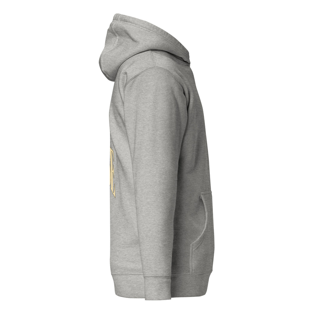 Carbon Grey John 3:30 faith apparel hoodie, right side view