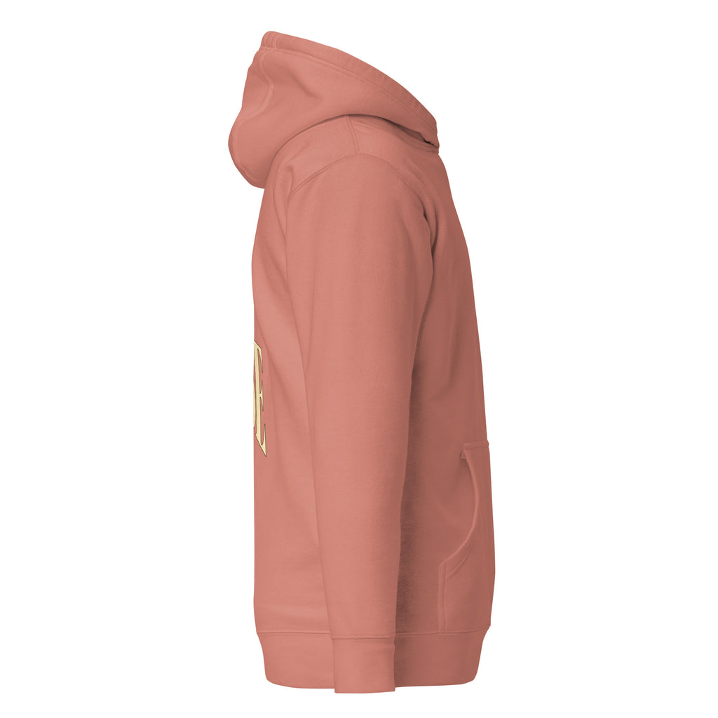 Dusty Rose John 3:30 faith apparel hoodie, right side view